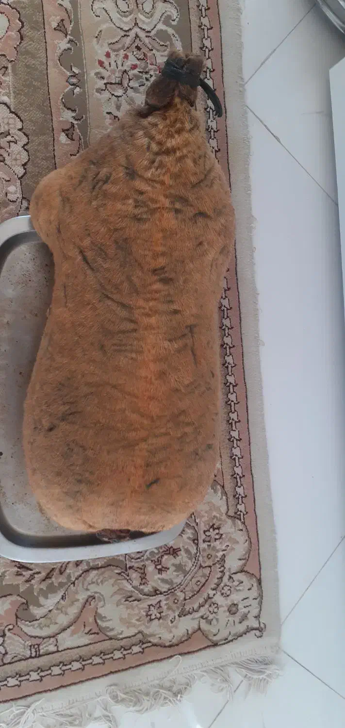 هیزه(حزول، خیک)|ظروف نگهدارنده، پلاستیکی، یکبارمصرف|ازنا, |دیوار