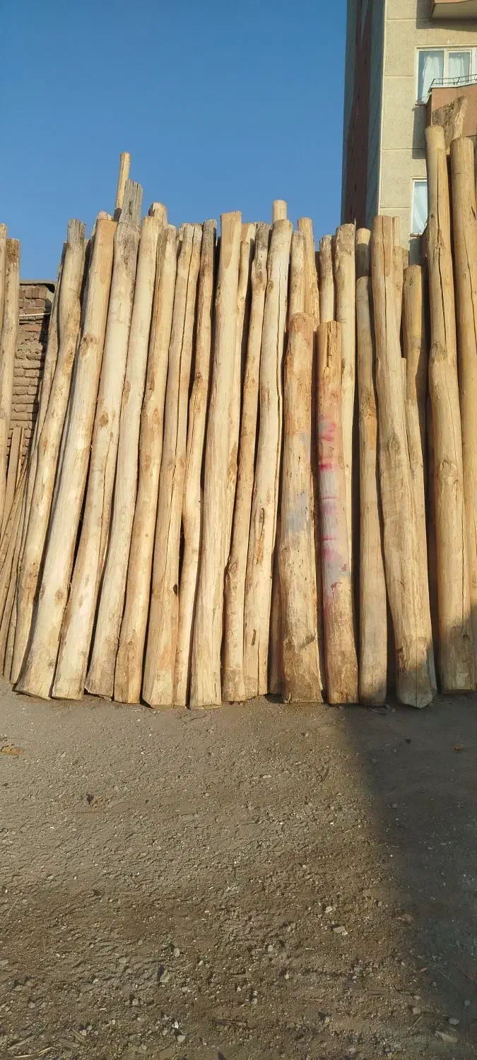 چوب|مصالح و تجهیزات ساختمان|آذرشهر, |دیوار