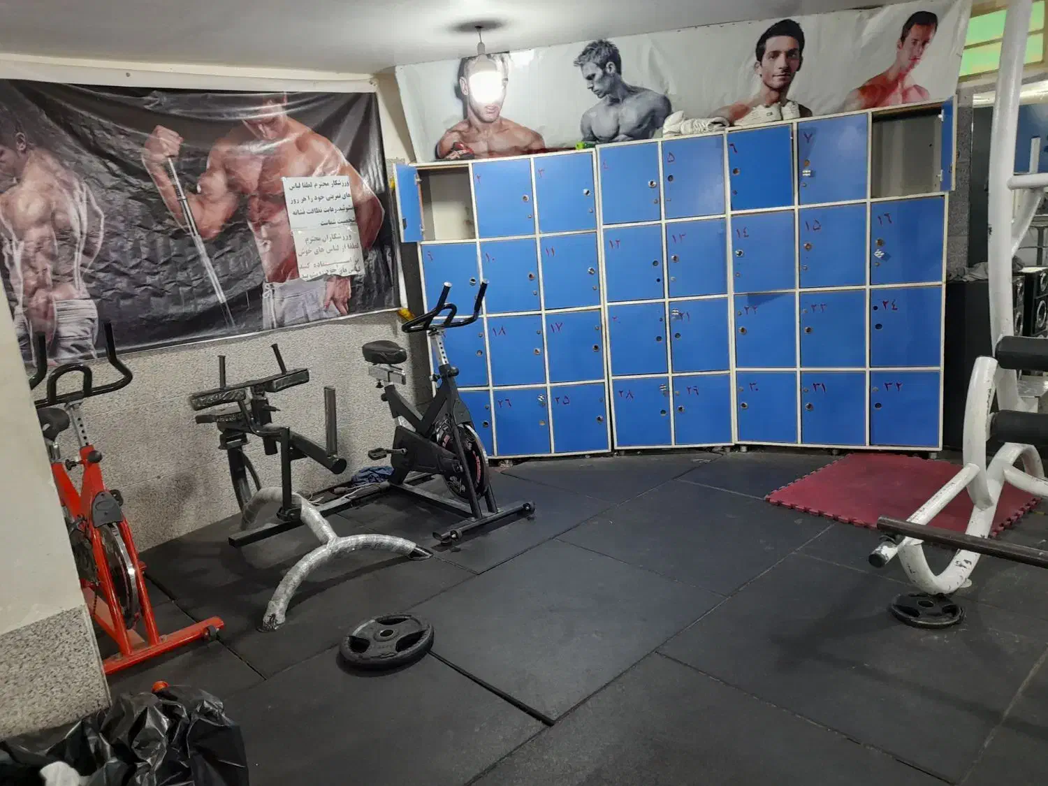 باشگاه بدنسازی برند وگاتی|تجهیزات ورزشی|نورآباد, |دیوار