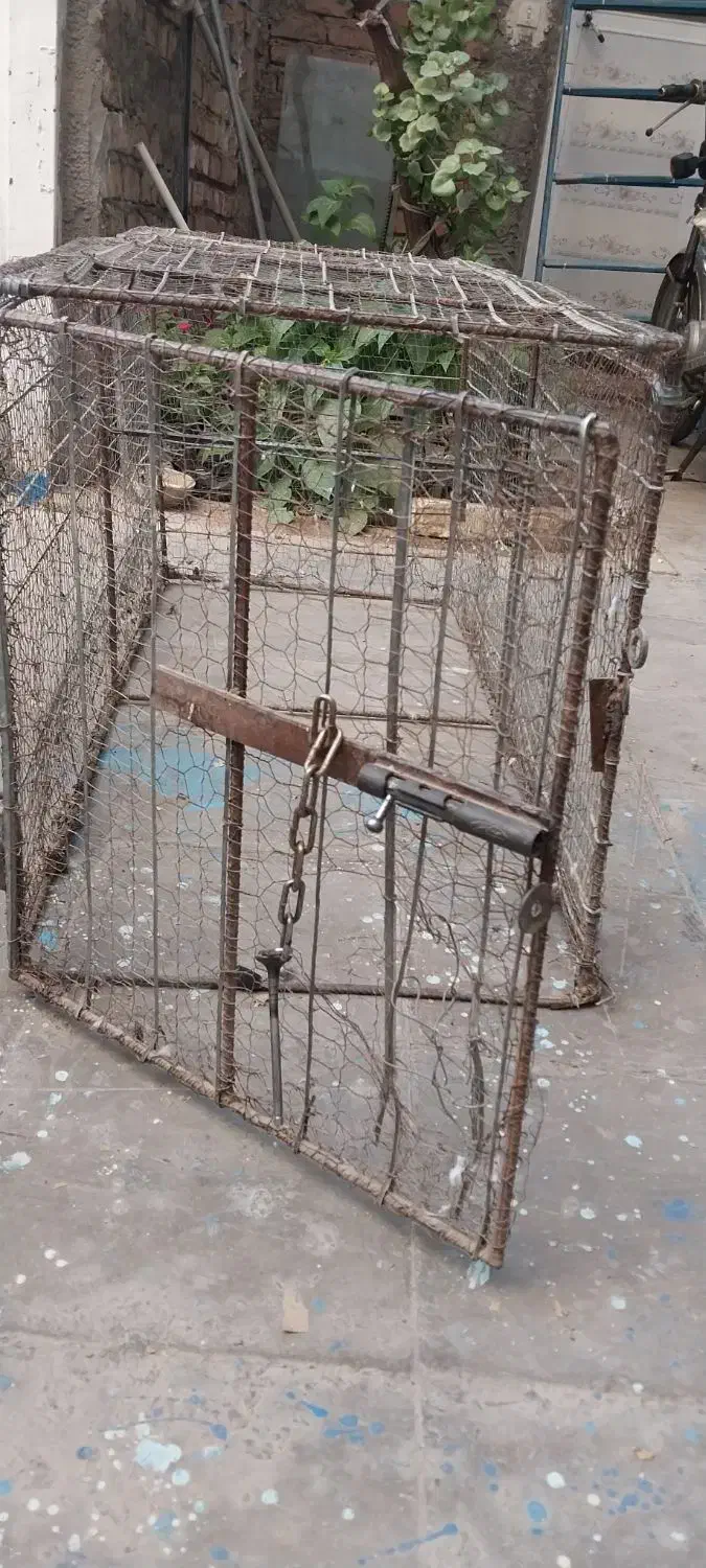 توری مرغی|لوازم جانبی حیوانات|کرمان, |دیوار