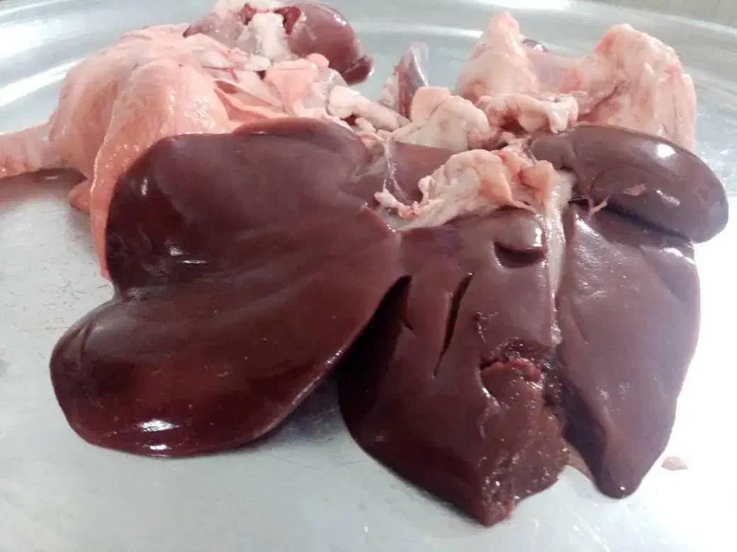 گوشت کهره بره|خوردنی و آشامیدنی|شیراز, بید زرد|دیوار