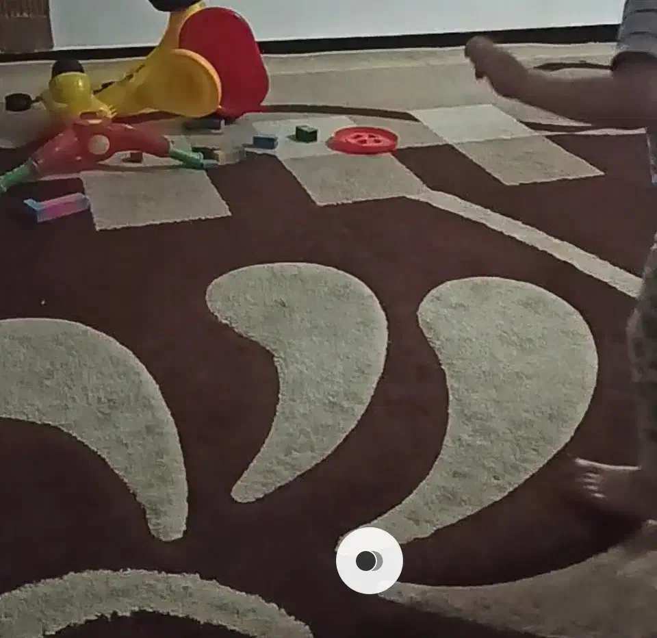 گلیم فرش|گلیم، جاجیم، گبه|بندر گناوه, |دیوار