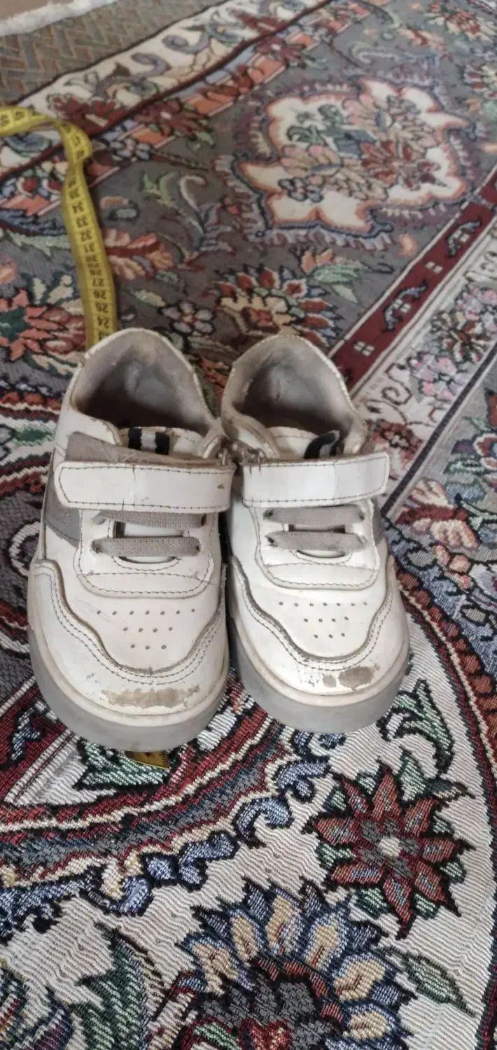 کتونی|کفش و لباس بچه|مشهد, طبرسی شمالی|دیوار