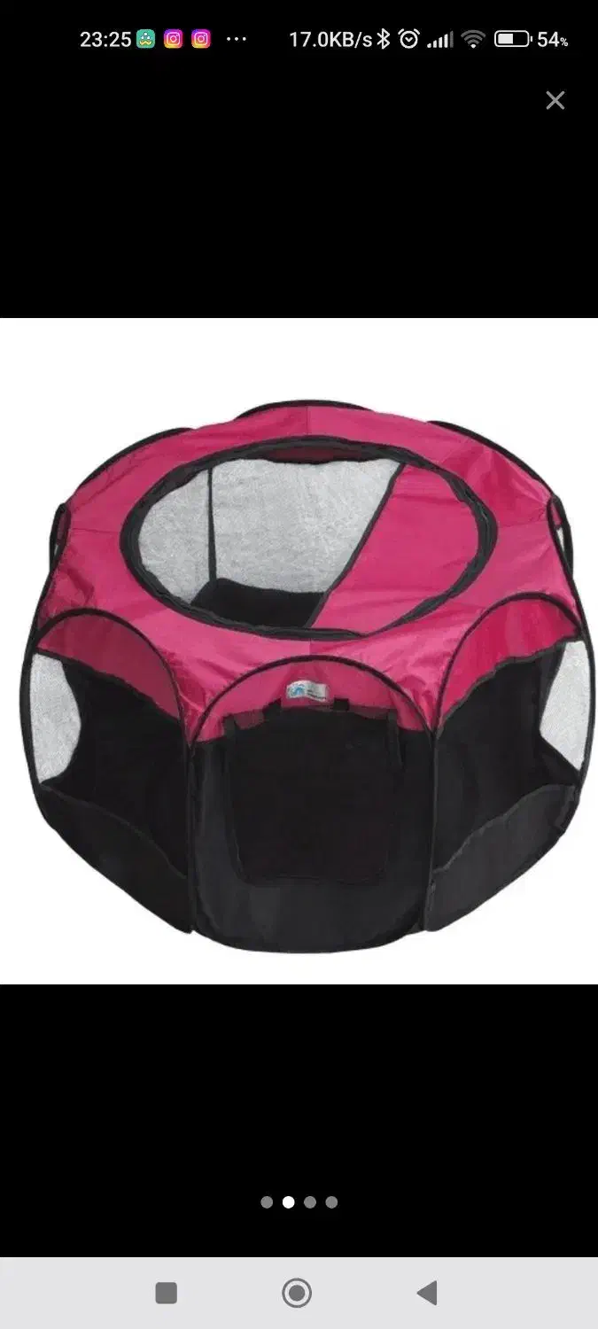 وسایل گربه|لوازم جانبی حیوانات|مشهد, دانشجو|دیوار