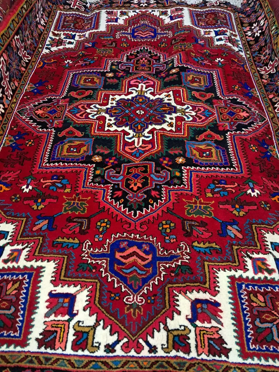 ۶متری|فرش|بناب, |دیوار