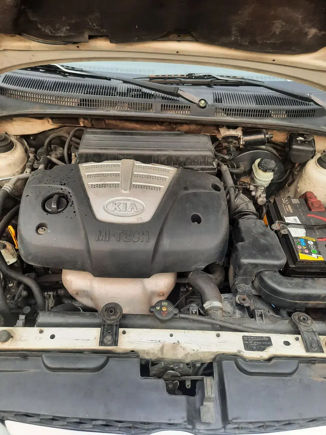 ریو 84|خودرو سواری و وانت|قدس, شهرقدس|دیوار