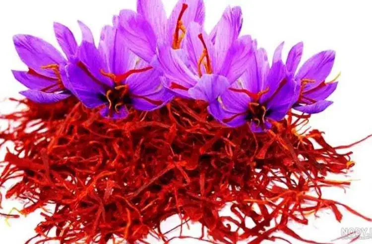 زعفران اصل|عمدهفروشی|میان ولایت, |دیوار