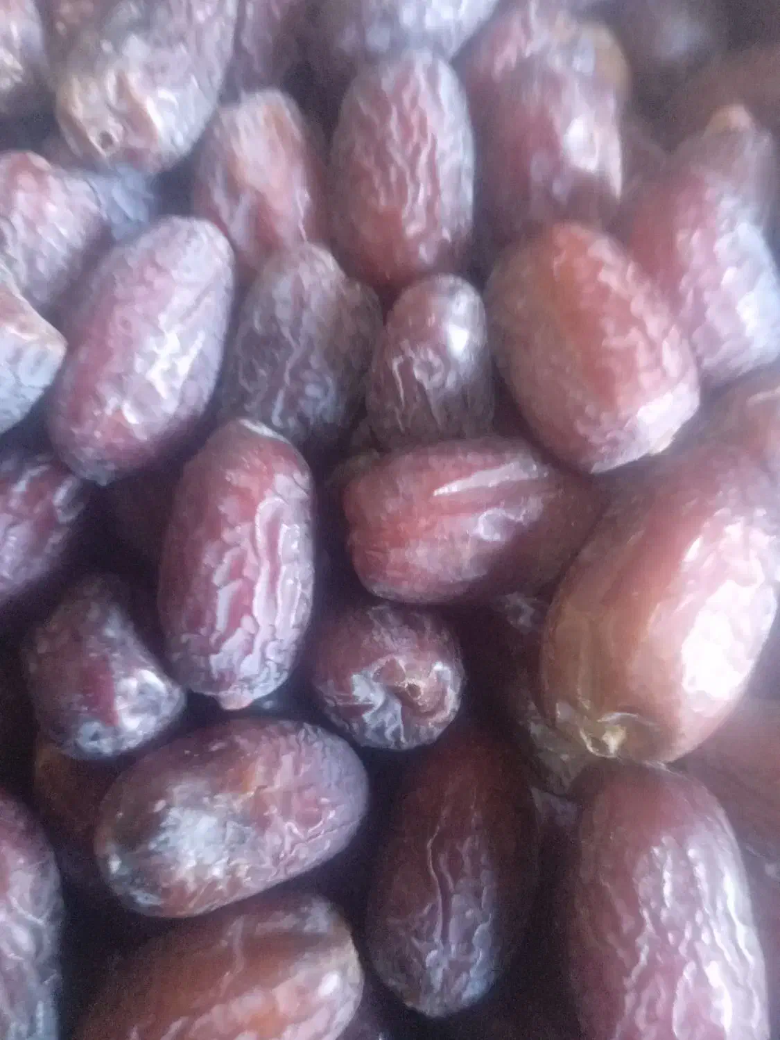 خرما (زردان) ربی)ارم|خوردنی و آشامیدنی|سیب و سوران, |دیوار