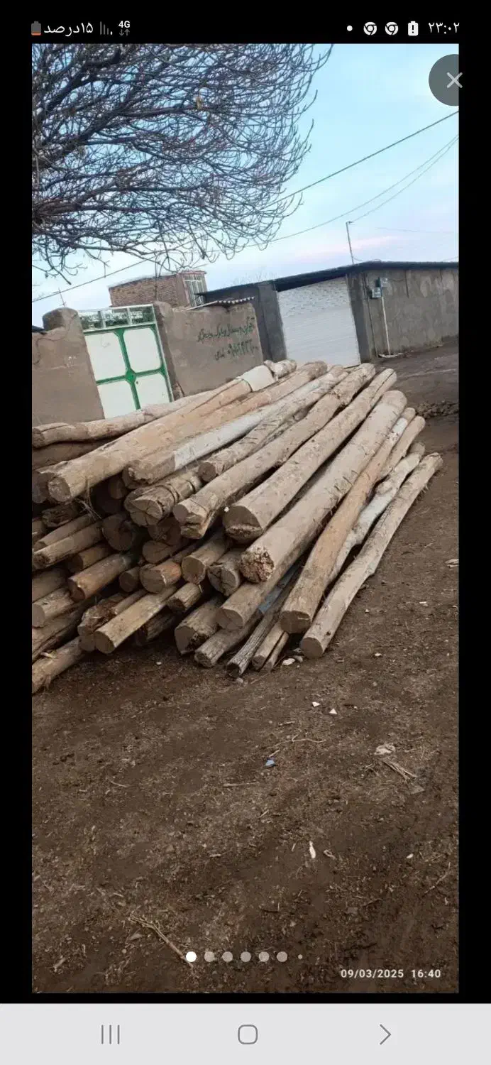 خرید چوب|خدمات باغبانی و درختکاری|قوچان, |دیوار