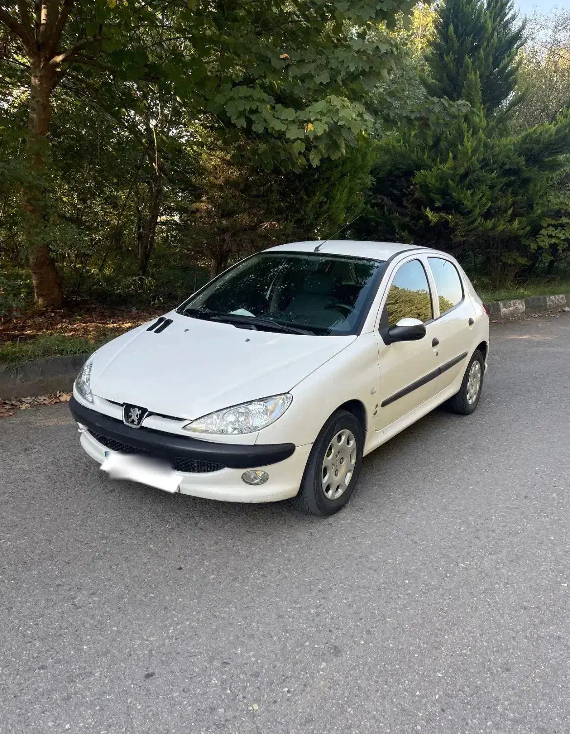 ۲۰۶ تیپ ۲ مدل ۹۱|خودرو سواری و وانت|ساری, |دیوار