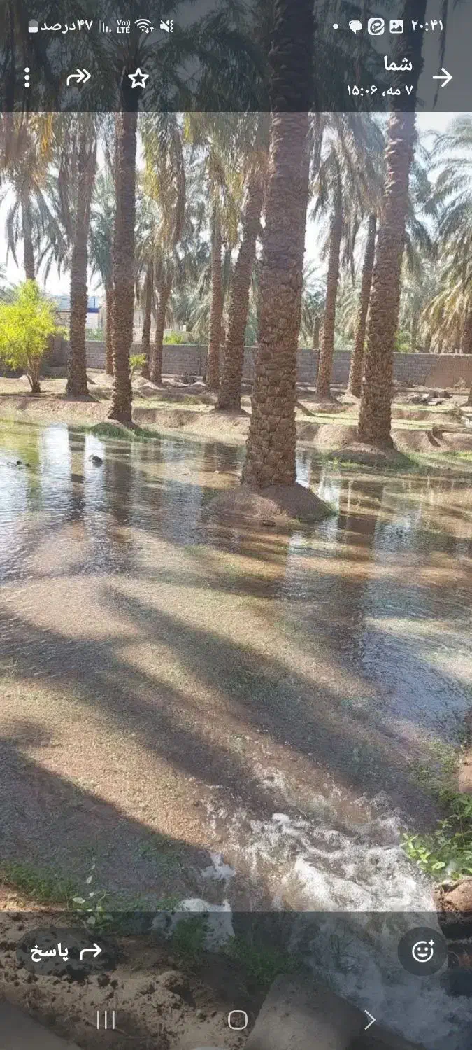 یک قطعه زمین با کاربری باغ با دستور پروانه|فروش زمین و ملک کلنگی|بم, |دیوار