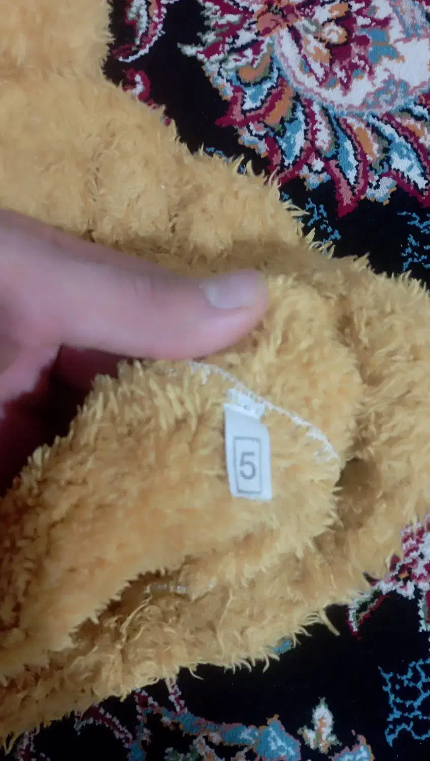 لباس زمستانی|لباس|مشکین‌دشت, |دیوار