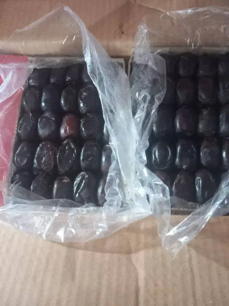 خرما درجه ۱ زاهدان|خوردنی و آشامیدنی|تهران, مسعودیه|دیوار