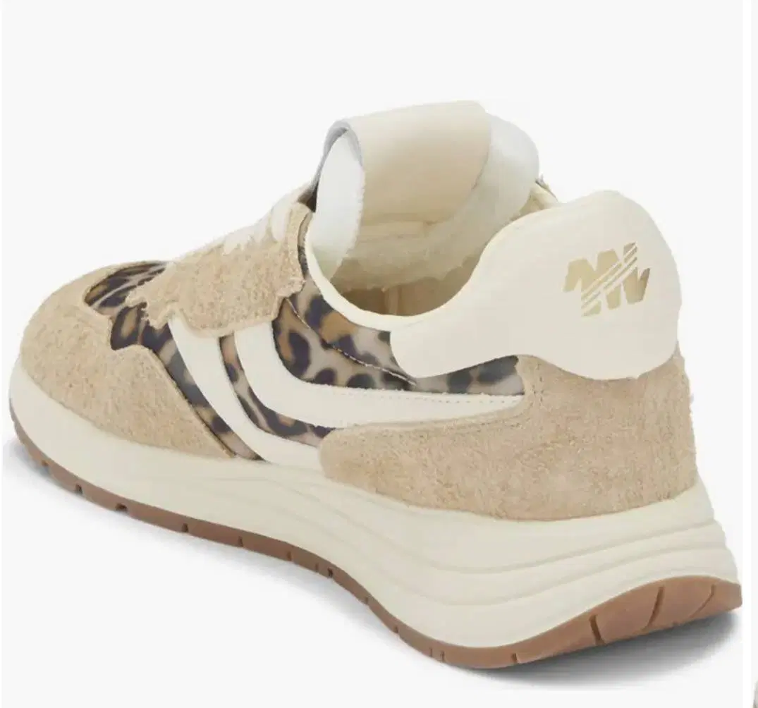Steve Madden|کیف، کفش، کمربند|ساری, |دیوار