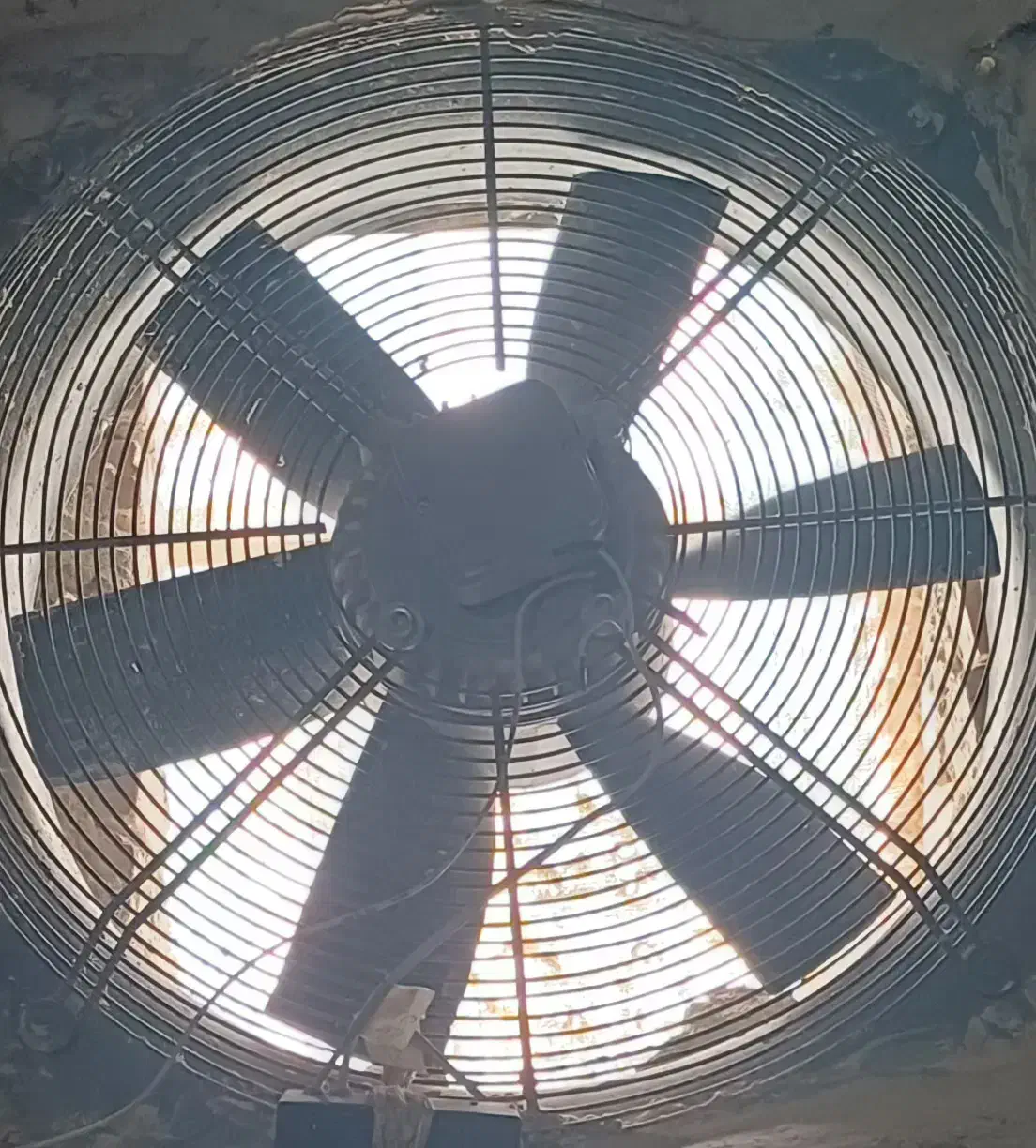 چهار شاخ|مصالح و تجهیزات ساختمان|صفائیه, |دیوار