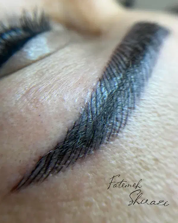 مدل میخام واسه تاتو خط چشم و فیبروز و میکاپ|خدمات آرایشگری و زیبایی|گرگان, |دیوار