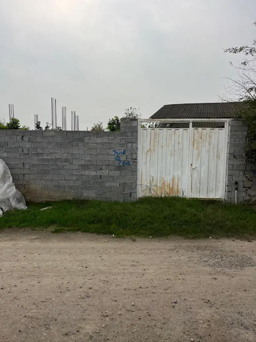 فروش زمین مسکونی ۲۶۰ متری با پروانه ساخت/سندتک برگ|فروش زمین و ملک کلنگی|کیاکلا, |دیوار