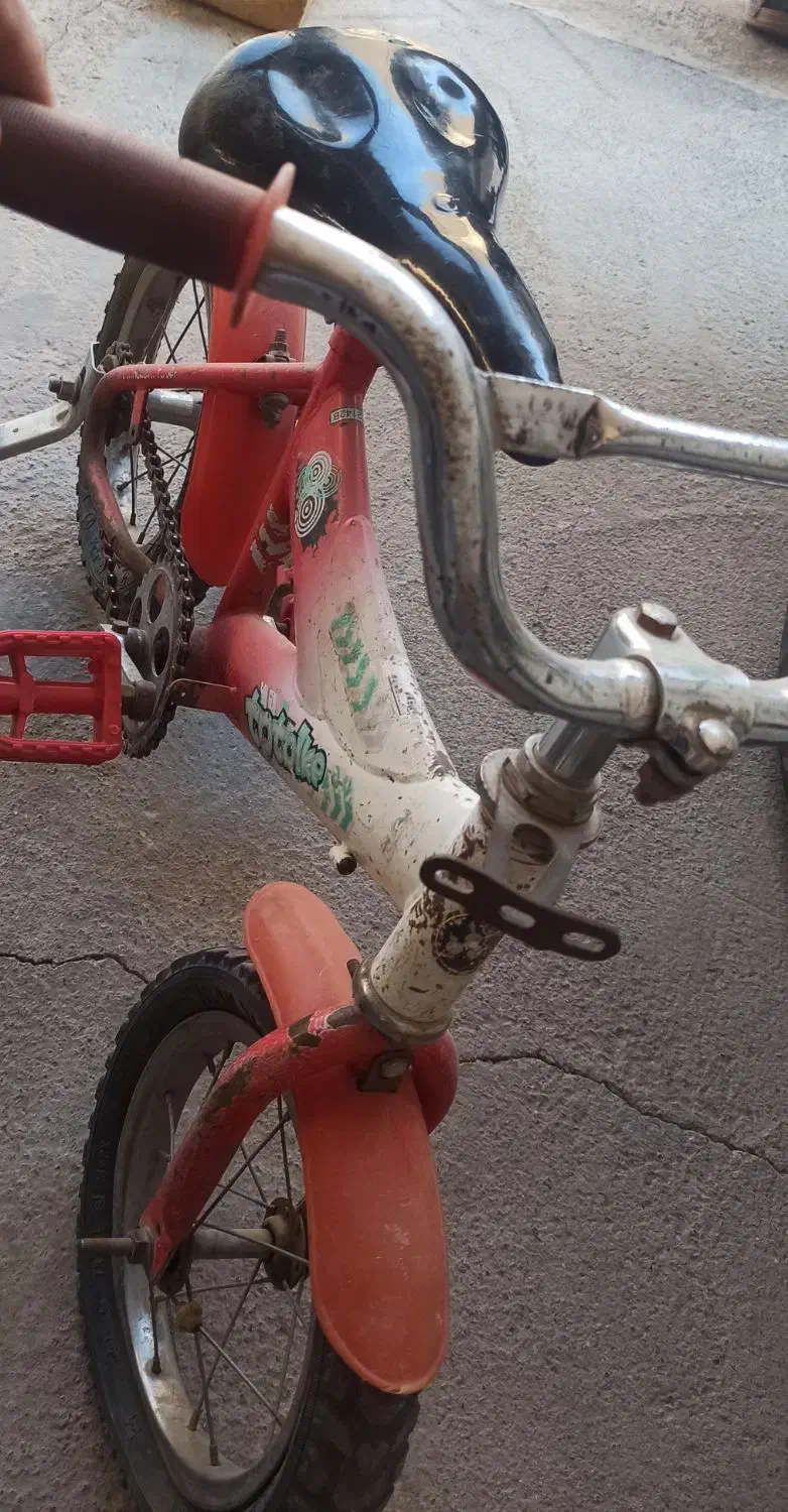 دوچرخه ۱۲|دوچرخه، اسکیت، اسکوتر|بیرجند, |دیوار