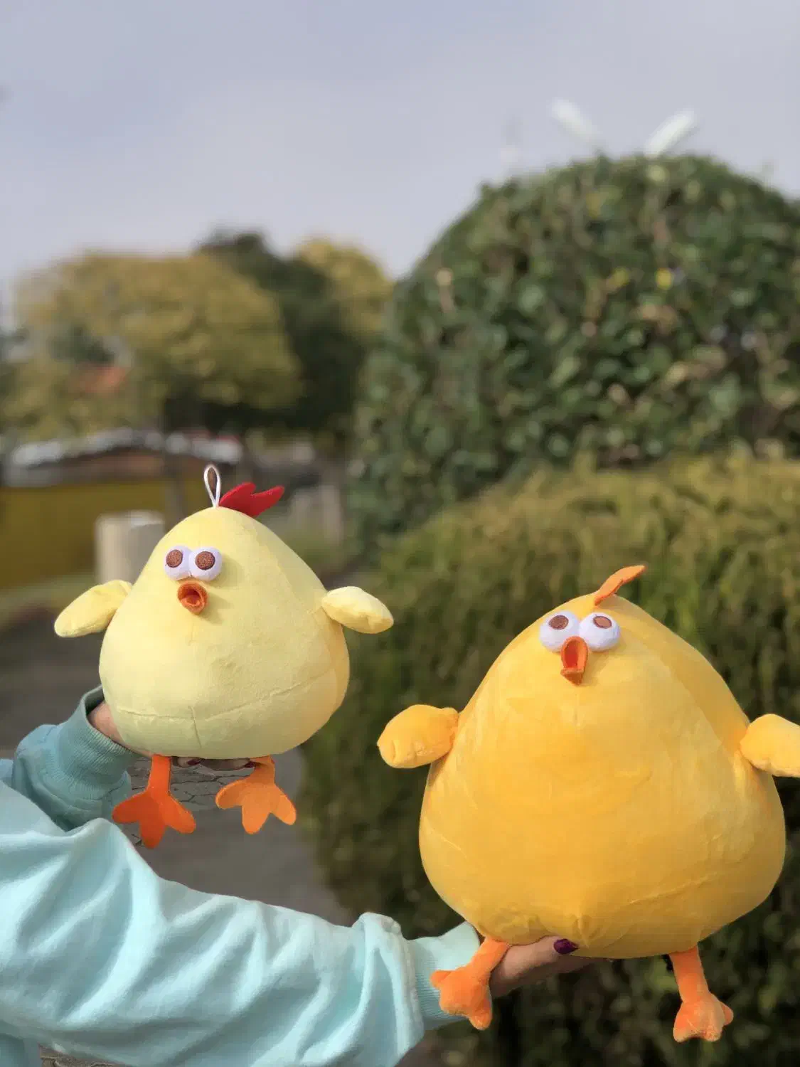 عروسک جوجو|اسباب‌‌بازی|کلاچای, |دیوار