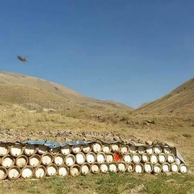 عسل طبیعی درجه ۱ کوهستان|خوردنی و آشامیدنی|کرج, مصباح|دیوار