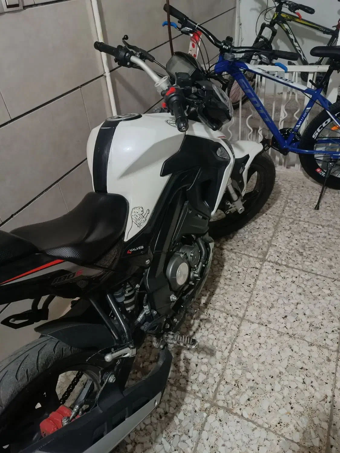 بنلی180s|موتورسیکلت|اقبالیه, |دیوار