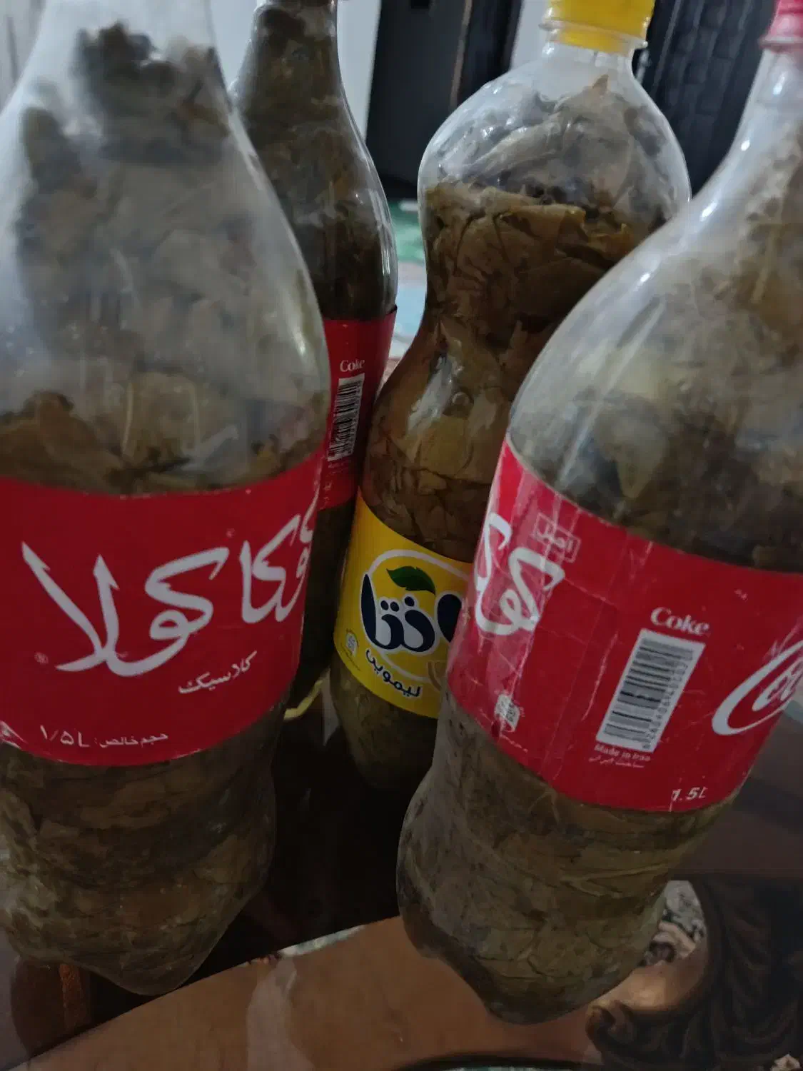 برگ مو|خوردنی و آشامیدنی|نوشین شهر, |دیوار