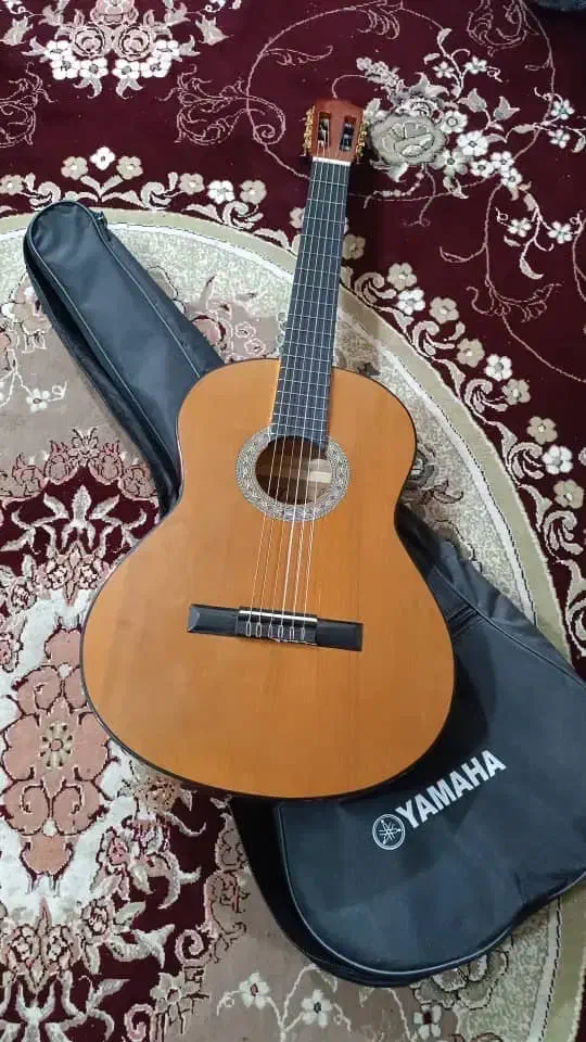 گیتار دستی|گیتار، بیس، امپلیفایر|بندرعباس, |دیوار