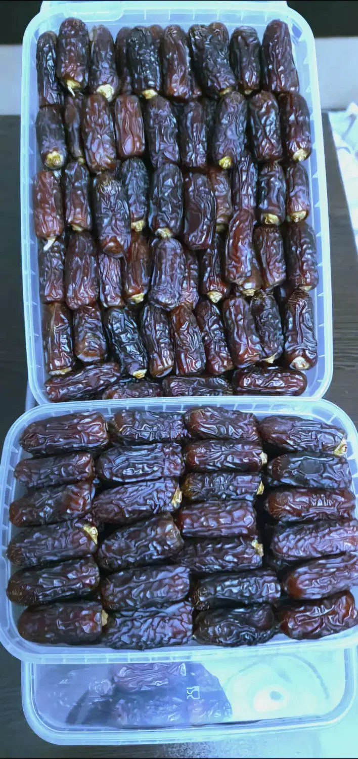 خرده وعمده فروشی خرمای پیاروم بندر درجه یک امساله|خوردنی و آشامیدنی|چالوس, |دیوار
