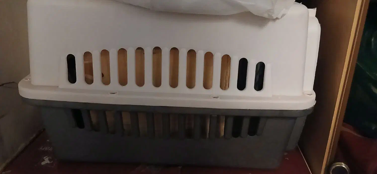 باکس حمل پت|لوازم جانبی حیوانات|کرج, حصار سرجوب|دیوار