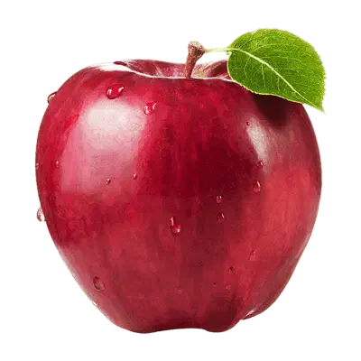 فروش سیب درختی|خوردنی و آشامیدنی|شیراز, شهرک فرهنگیان|دیوار