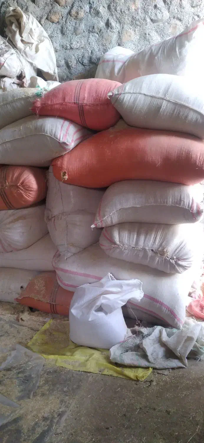 کاه گندم|لوازم جانبی حیوانات|فیروزآباد (لرستان), |دیوار