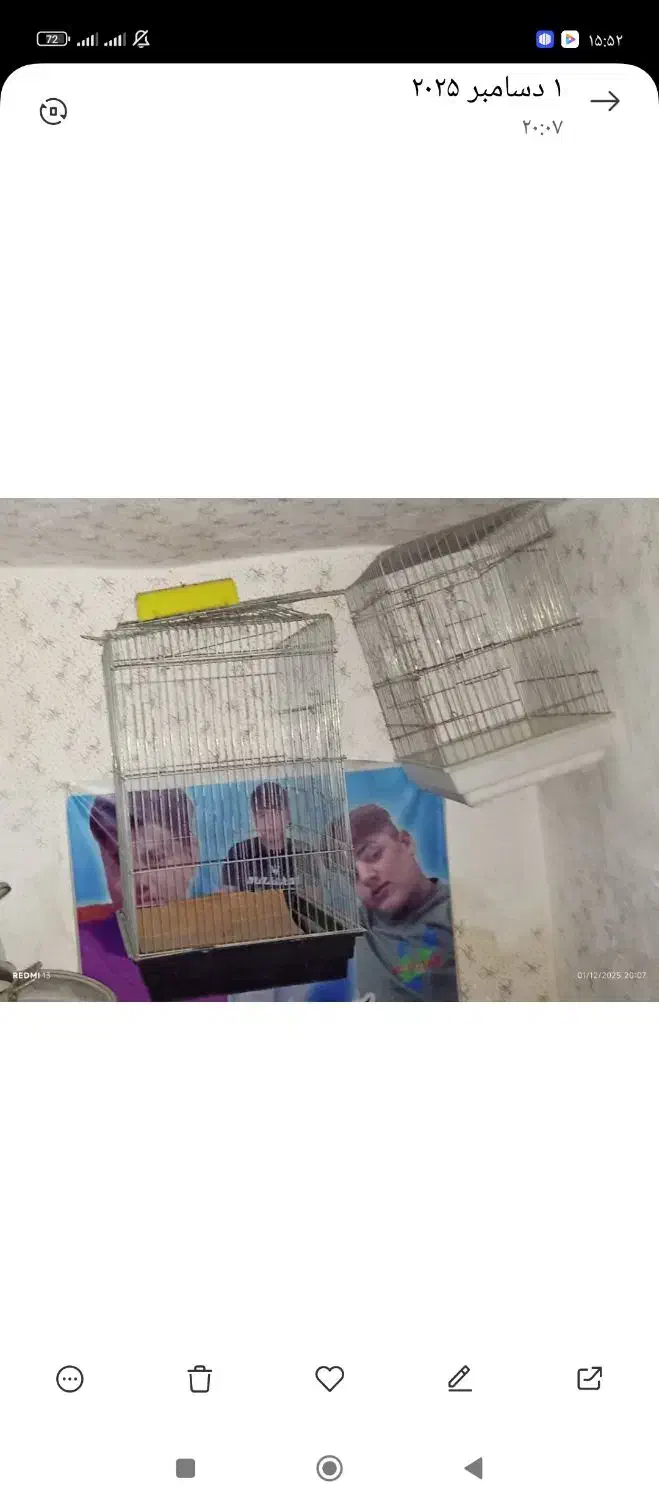 دو عدد قفس بزرگ پرنده|لوازم جانبی حیوانات|شوشتر, |دیوار