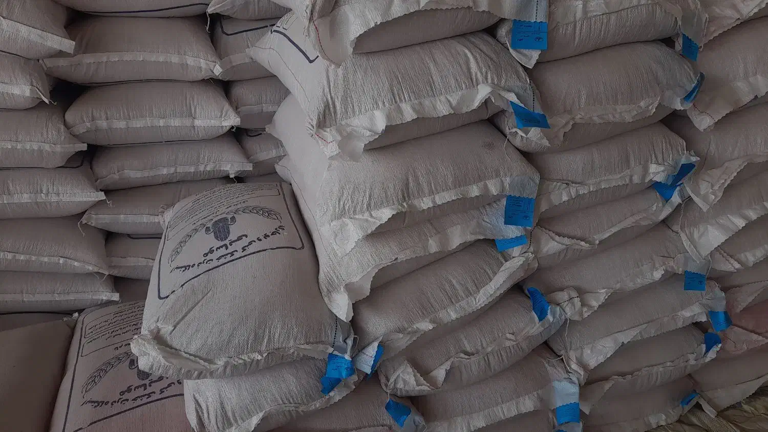 فروش کود سفید.دی امونیوم.پتاس.فسفات.گندم خدماتی|خدمات باغبانی و درختکاری|شوشتر, |دیوار