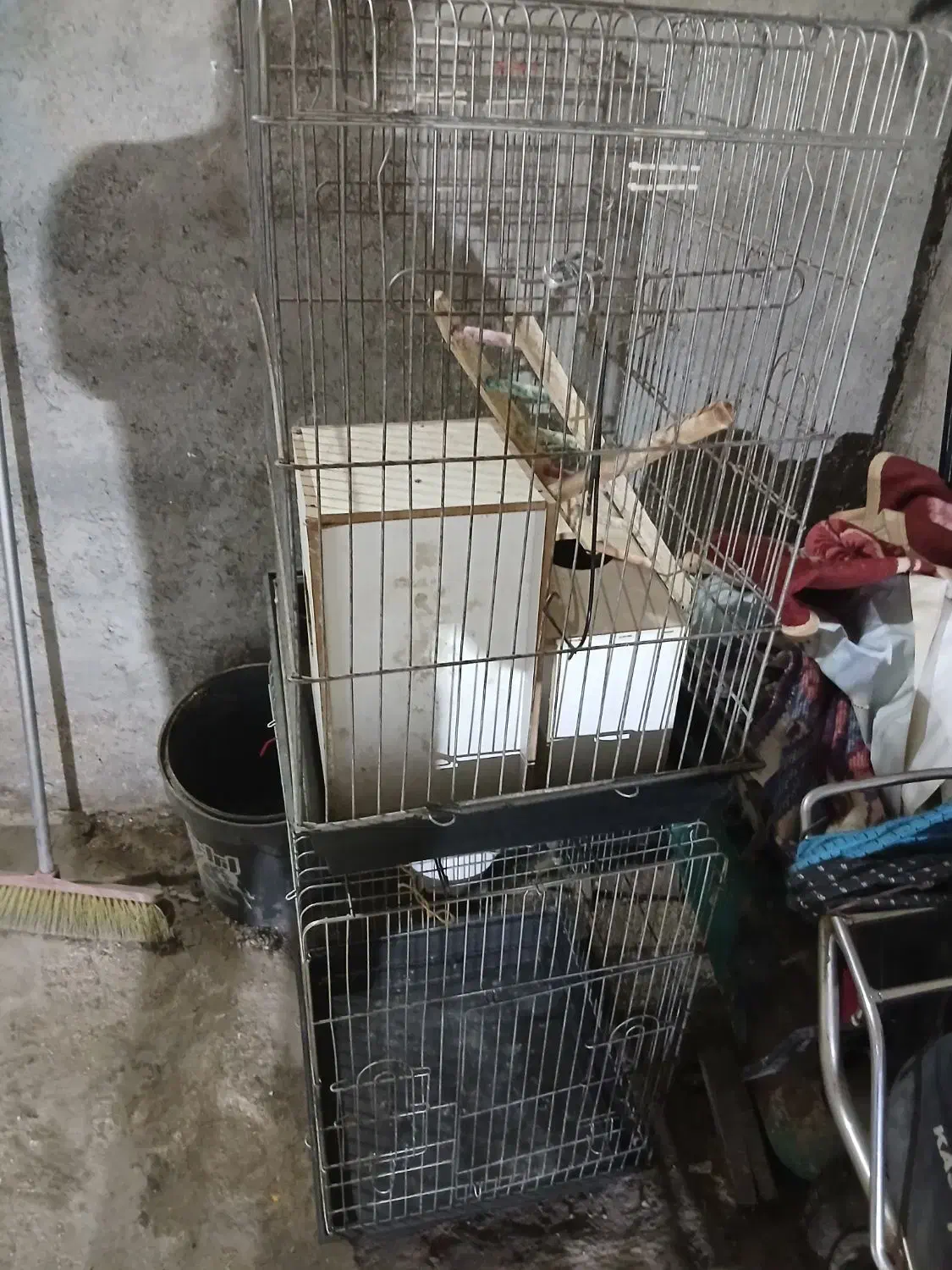 فروش قفسه پرنده|لوازم جانبی حیوانات|بوشهر, |دیوار