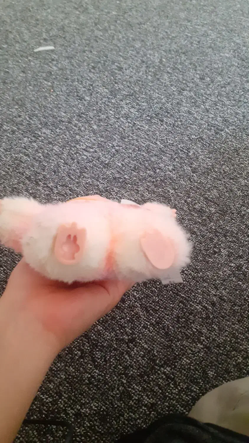 لبوبو|اسباببازی|اندیمشک, |دیوار