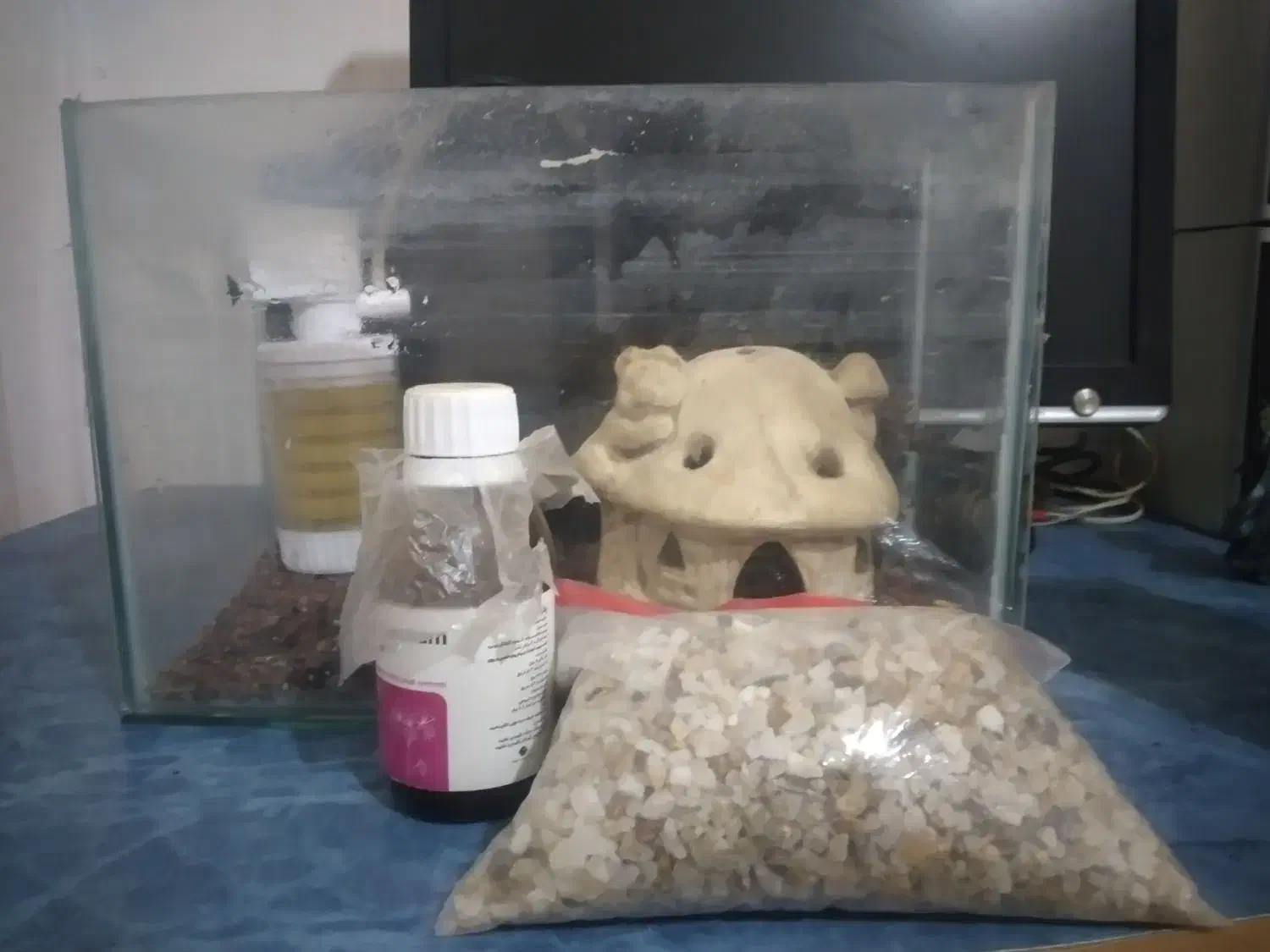 آکوٌآریوٌمً بًآ وٌسِآیلَ|ماهی|ملایر, |دیوار