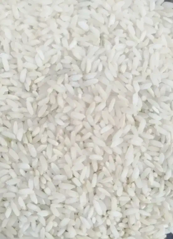 برنج چمپا لوداب چلتوک و دونه|خوردنی و آشامیدنی|لوداب, |دیوار