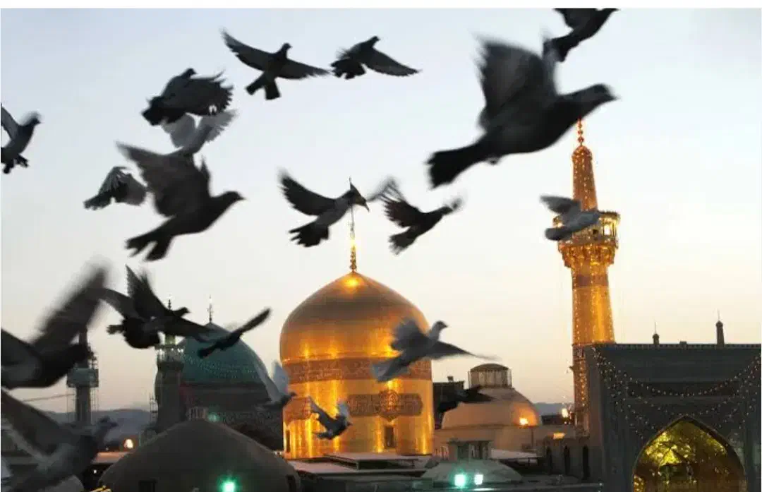 کاروان مشهد اتوبوس،قطار و کربلا|تور و چارتر|بروجرد, |دیوار