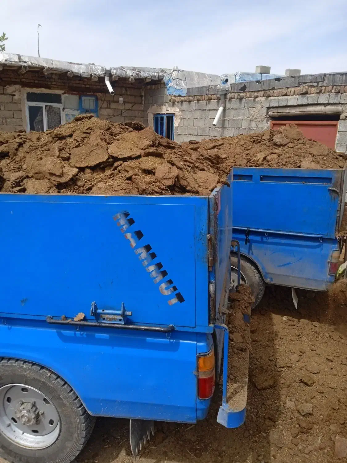 کودحیوانی تضمینی|خدمات باغبانی و درختکاری|ارومیه, |دیوار