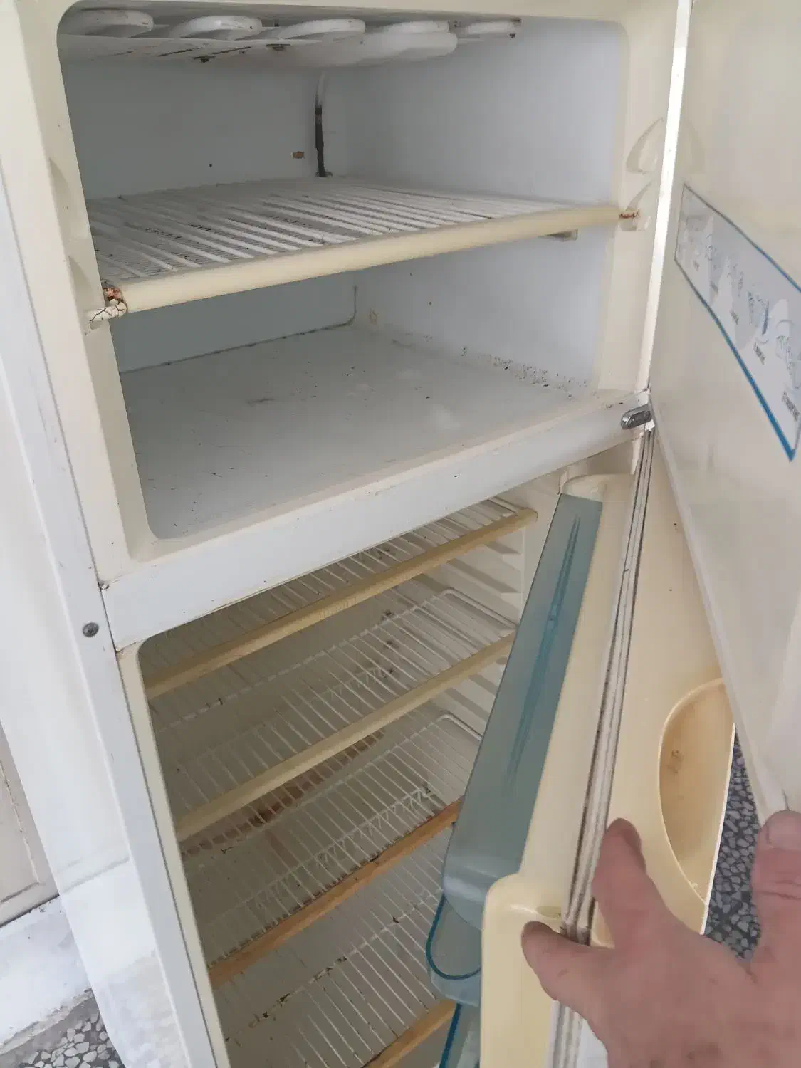 یخچال فیلور۱۴فوت|یخچال و فریزر|آمل, |دیوار