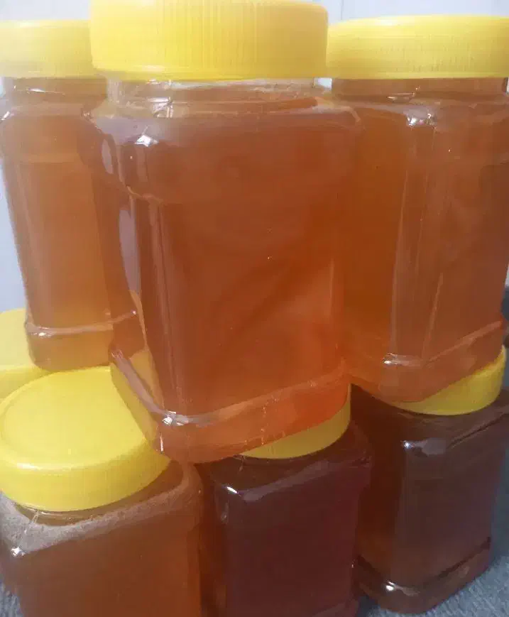 فروش عسل طبیعی و شهد عسل|خوردنی و آشامیدنی|پیرانشهر, |دیوار