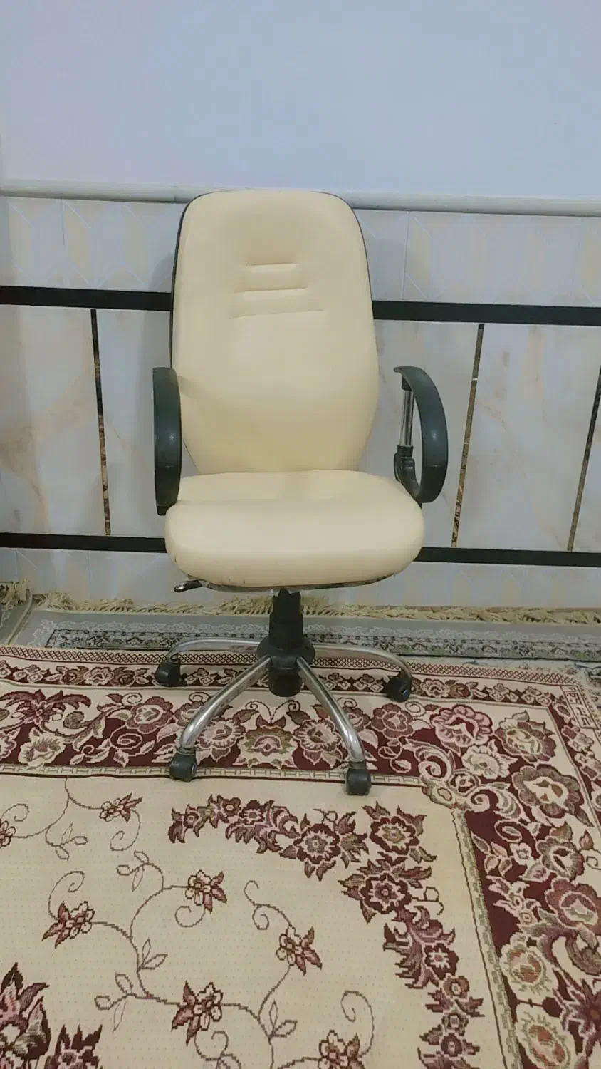 صندلی چرخدار|صندلی و نیمکت|زابل, |دیوار