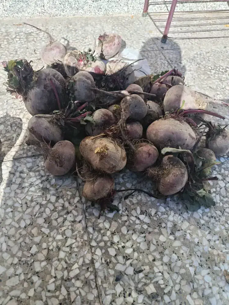 لبو ارگانیک درجه 1|خوردنی و آشامیدنی|بردسیر, |دیوار