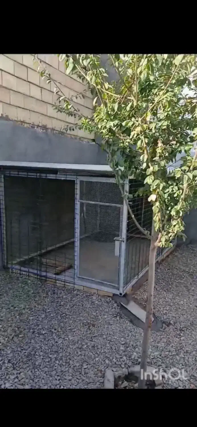 قفس حیوانات  فنس کاری ،فورری،|لوازم جانبی حیوانات|رضویه, |دیوار