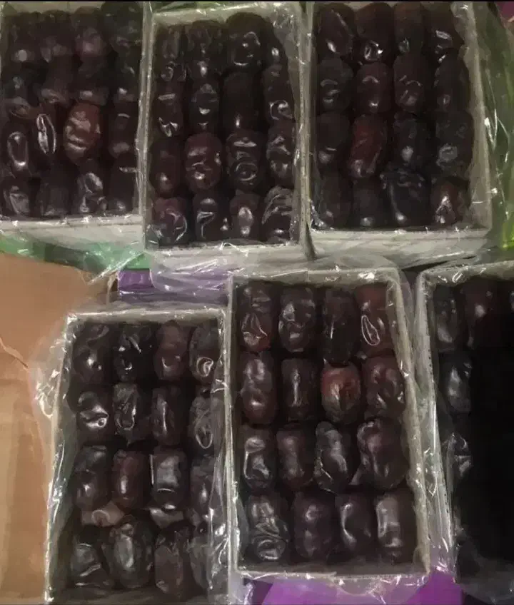 خرما|خوردنی و آشامیدنی|ریگان, |دیوار