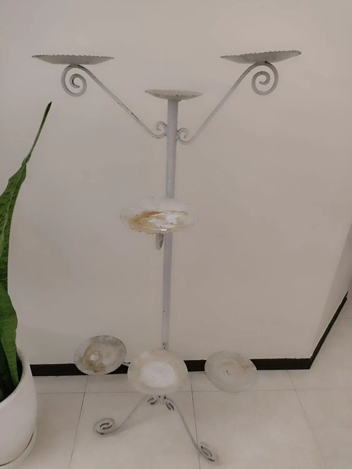 فرفوژه گلدان گل|گل و گیاه طبیعی|فردیس, قریشی|دیوار