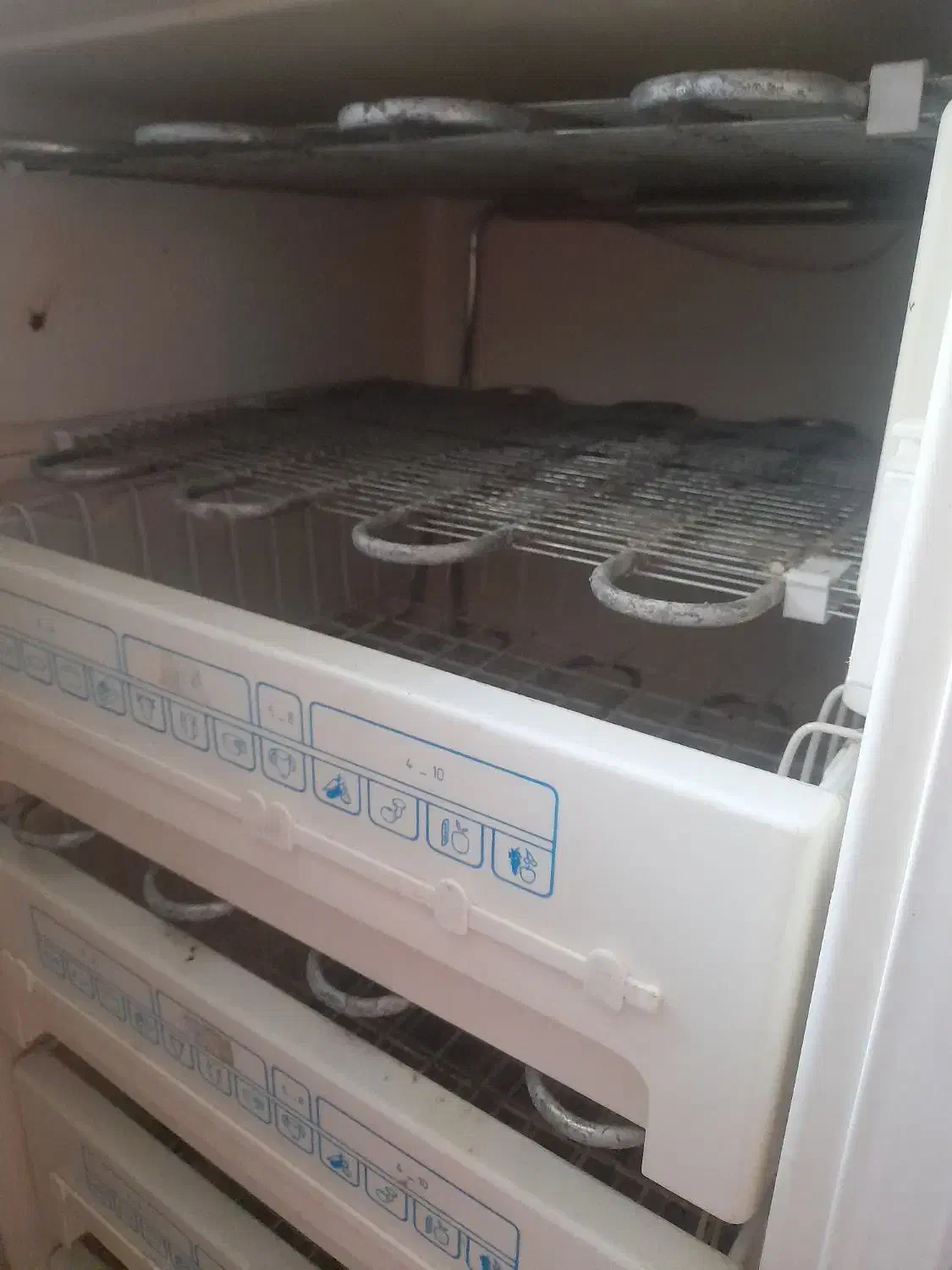 فریزر|یخچال و فریزر|تبریز, |دیوار