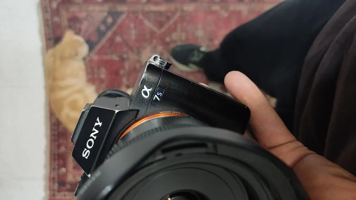 الفا سون اس ۲ مارک دوSony alpha 7sii a7 a7iii a7s|دوربین عکاسی و فیلمبرداری|تهران, امیرآباد|دیوار