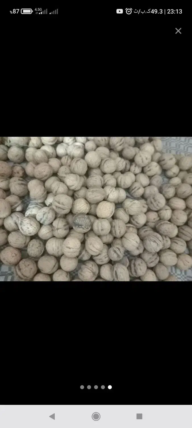 گردوی آذربایجان|خوردنی و آشامیدنی|آبیک, |دیوار