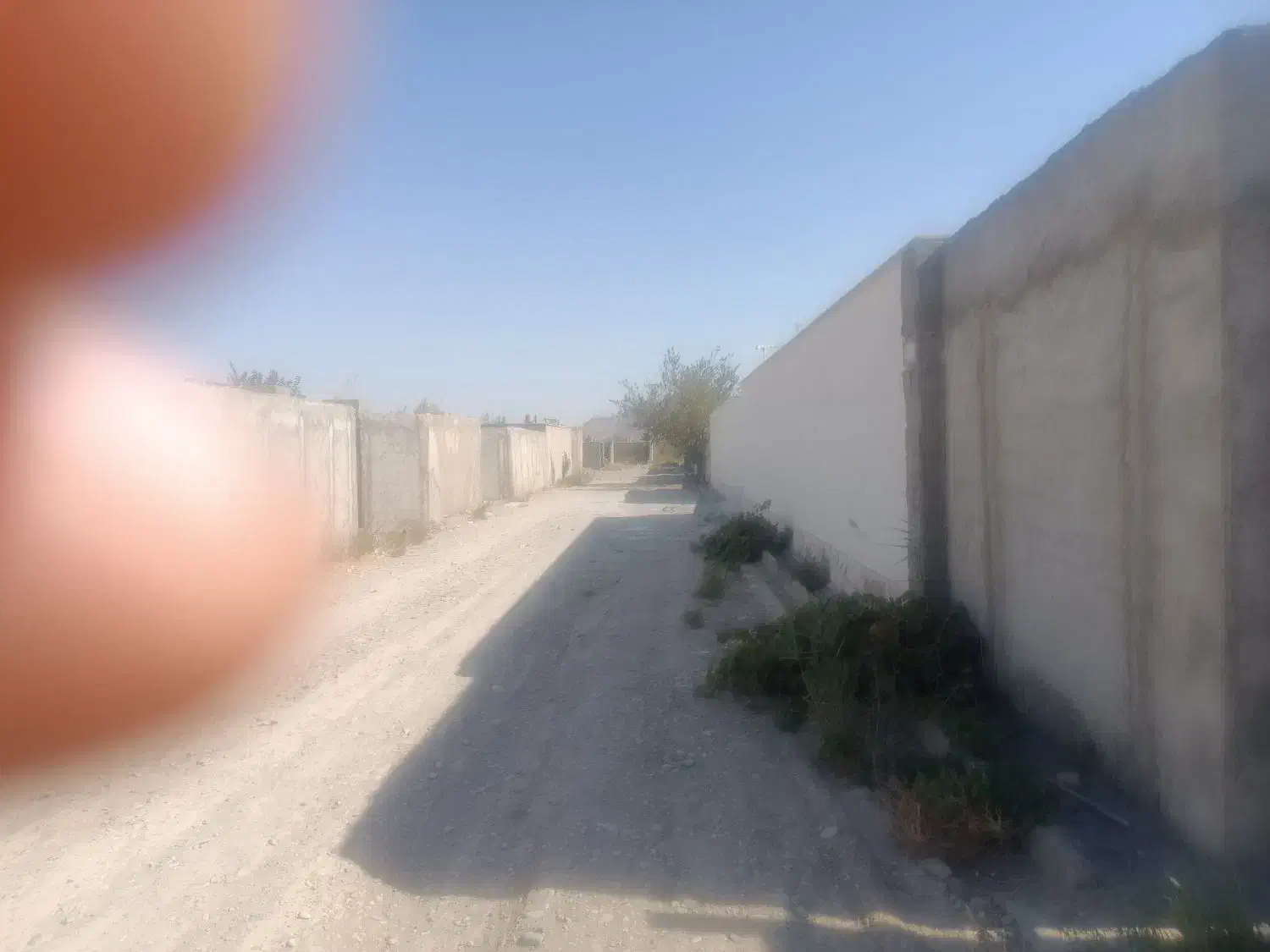 فروش زمین ۵۰۰ متری|فروش زمین و ملک کلنگی|صفادشت, |دیوار